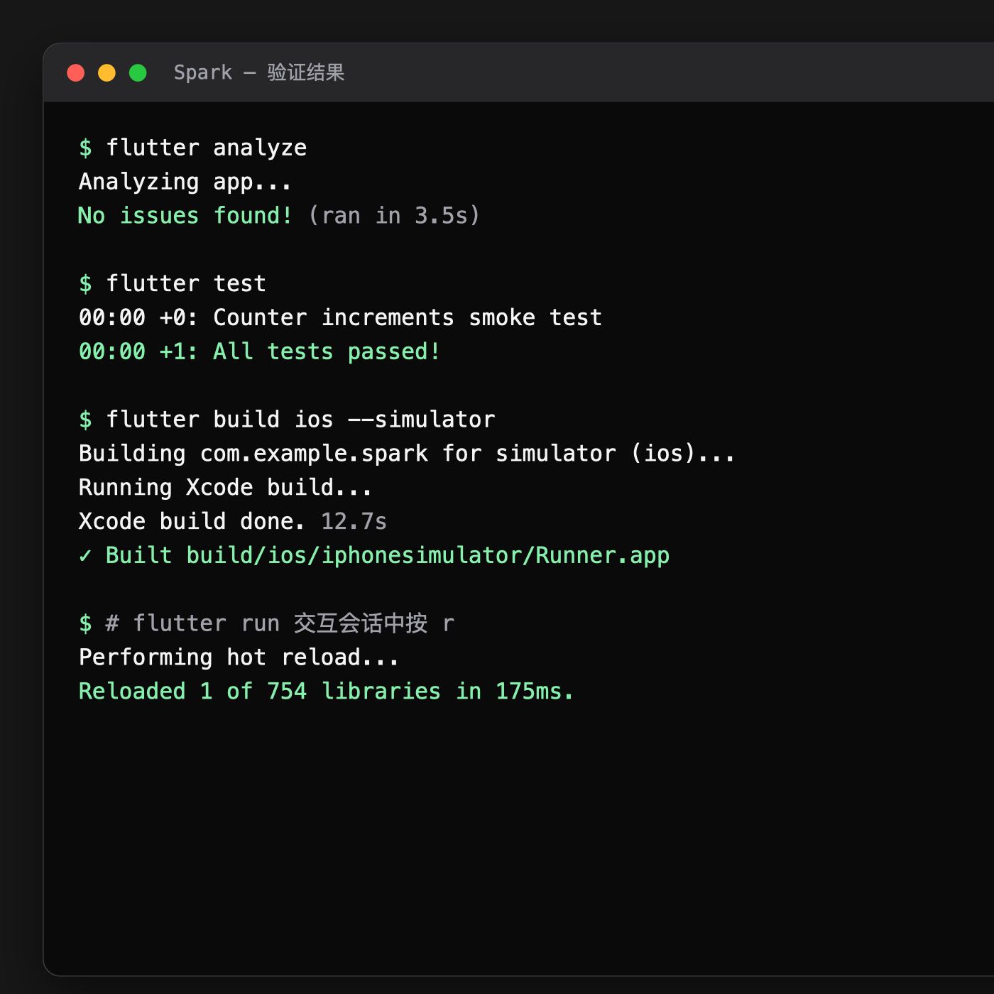 Spark 工程分析、测试、iOS 构建和热重载输出